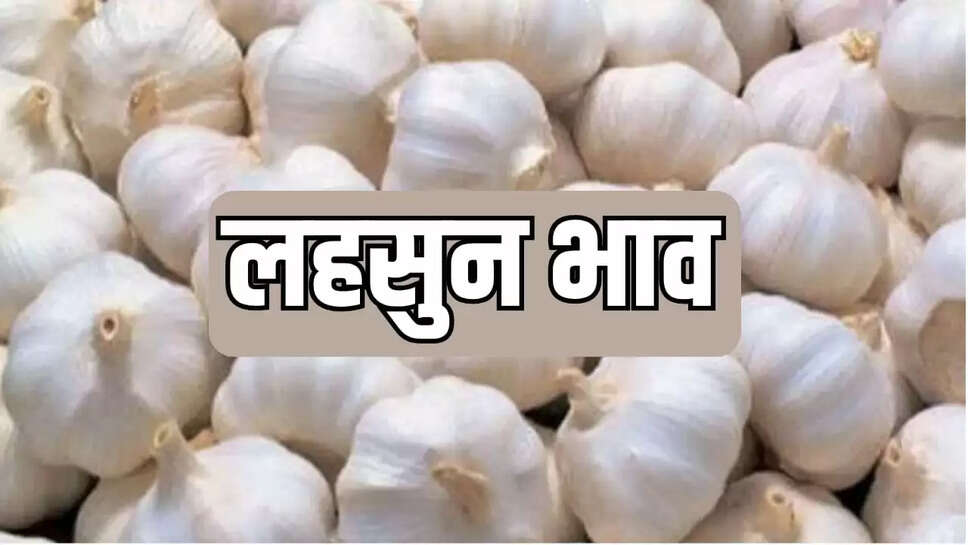 लहसुन 