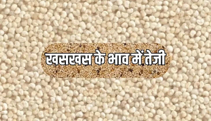 price of poppy seeds 