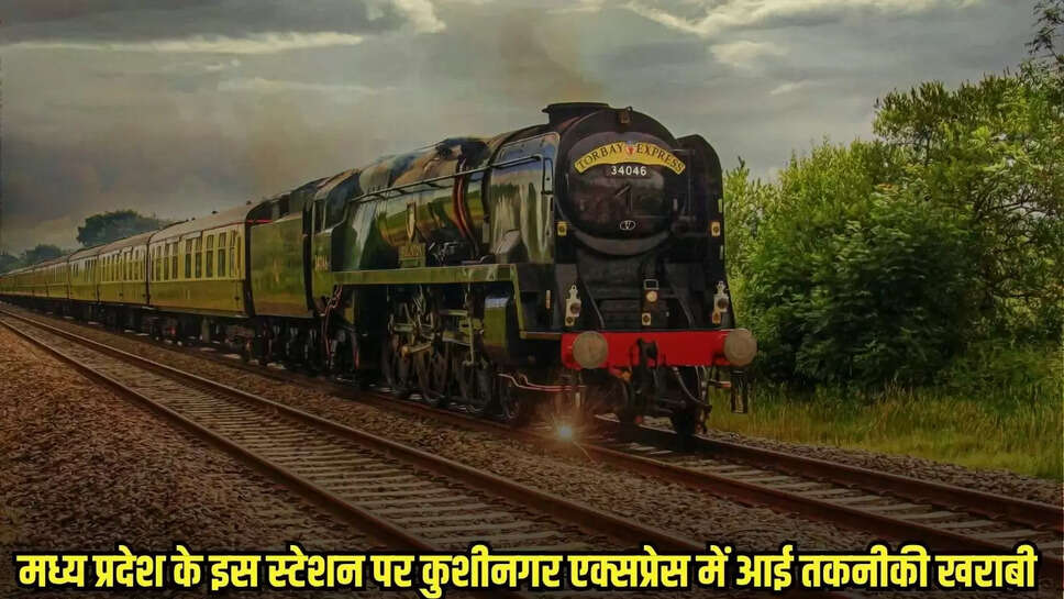 MP news
