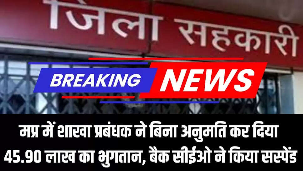 MP NEWS