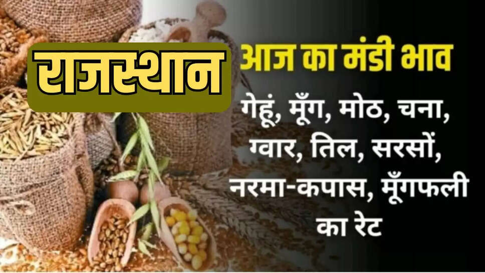 Rajasthan Mandi Bhav