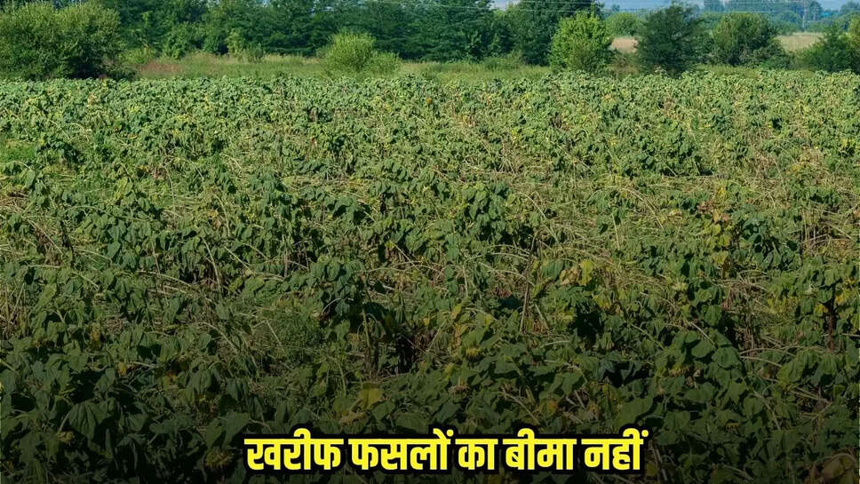Burhanpur News