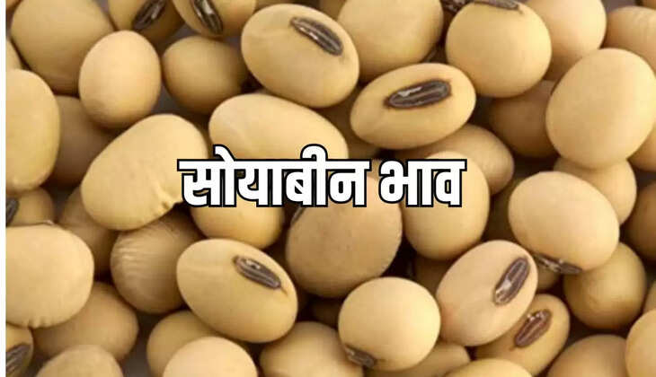 सोया की आवक 