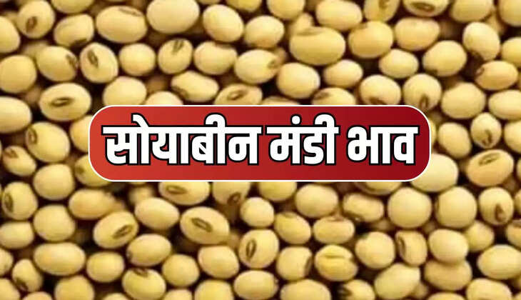 सोयाबीन