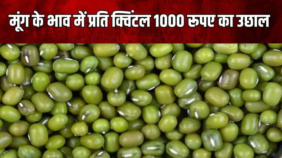 मूंग के दाम