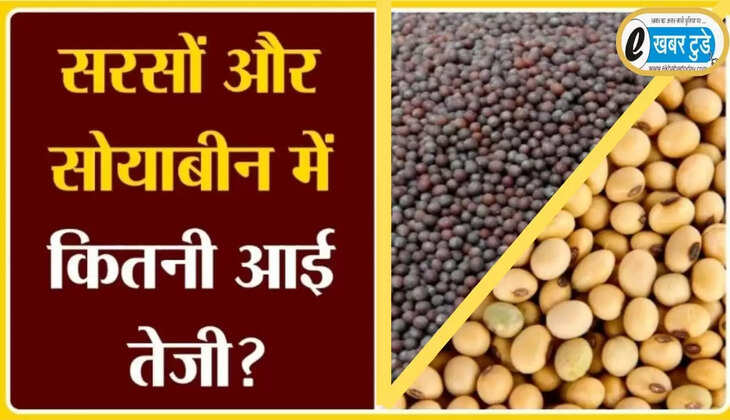 mustard prices