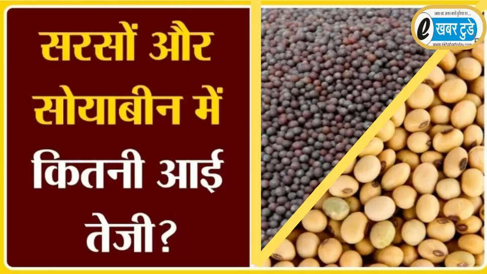 mustard prices