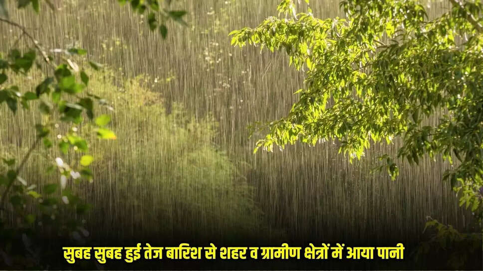 Barwani News: