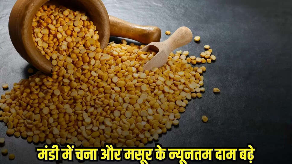 Bina News