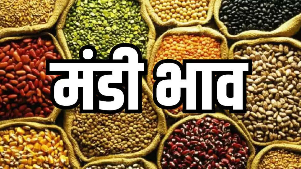 MANDI BHAV