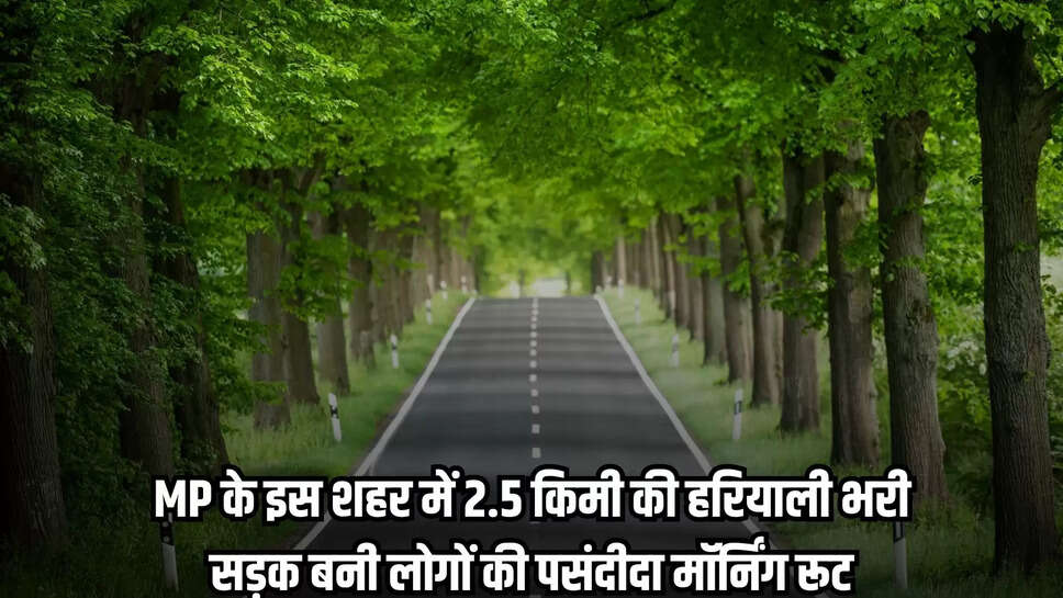 MP News