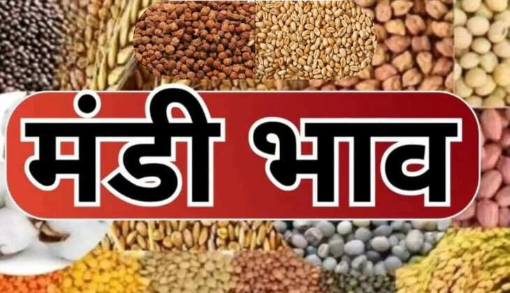 लहसुन,प्याज,सोयाबीन, चावल, गेहूं, जौ, मक्का, मूंगफली, धनिया, सरसों 