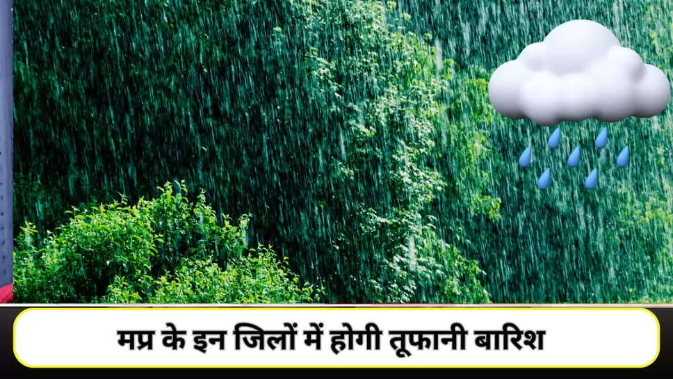 Mp weather 