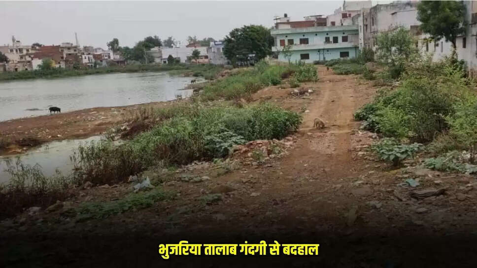 Guna News