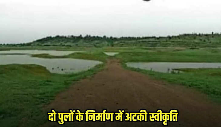 Badwani news, MP news,