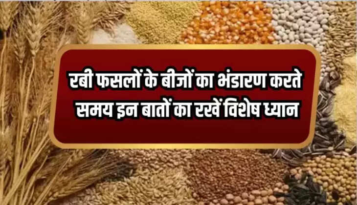 Rabi Crop Storage
