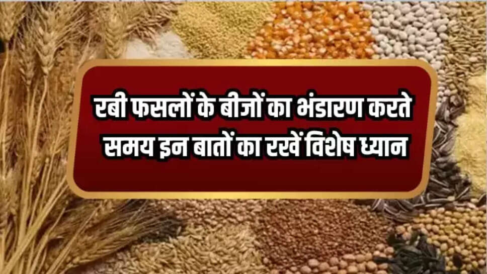 Rabi Crop Storage