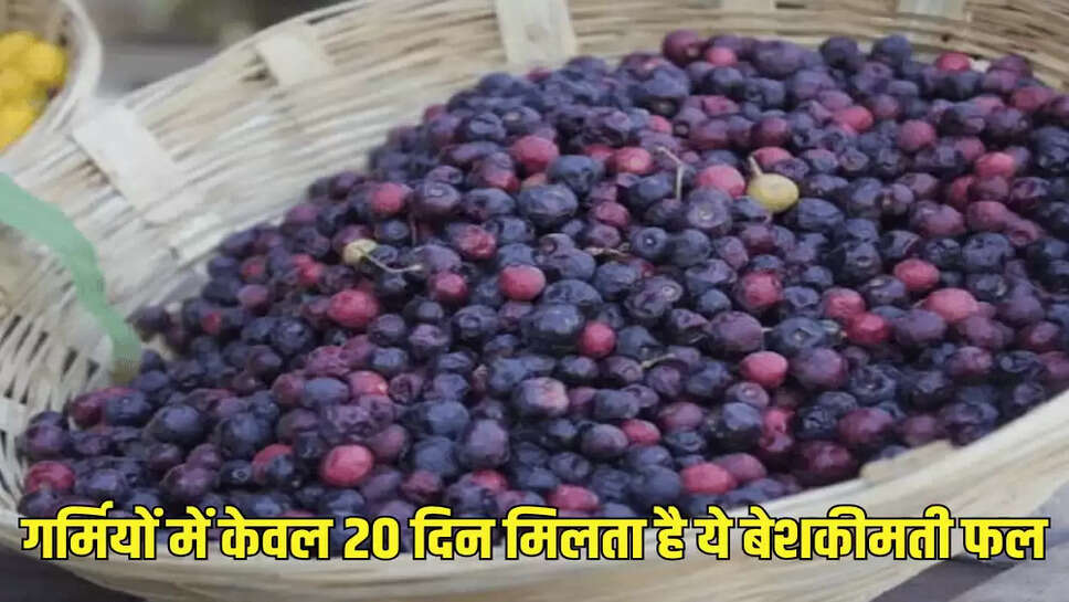 गर्मियों में केवल 20 दिन मिलता है ये बेशकीमती फल