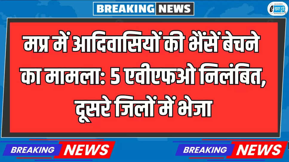 5 एवीएफओ निलंबित, 