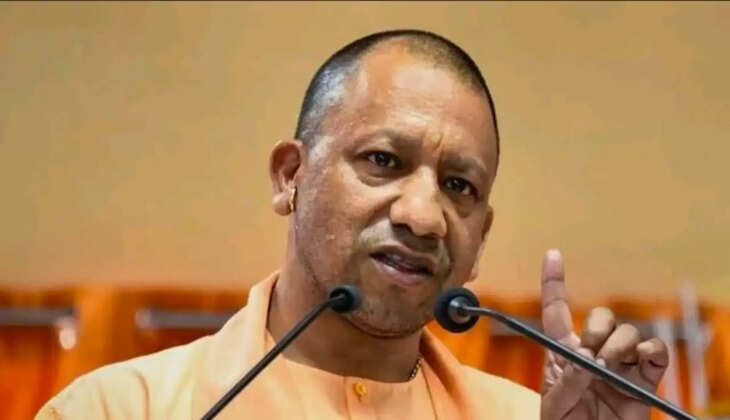 yogi government 