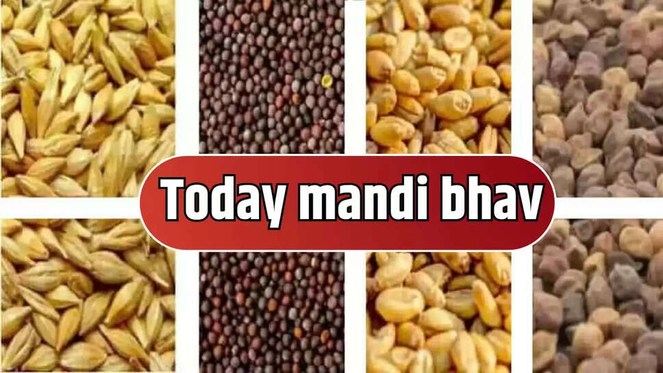 Today mandi bhav