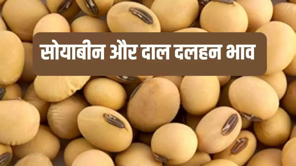 soybean prices 