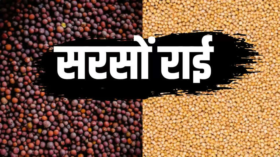 राई दाल व सरसों की दाल