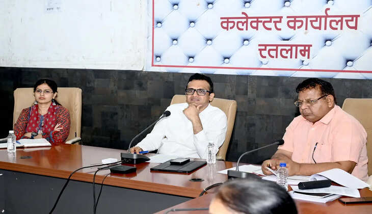 revenue cases Collector