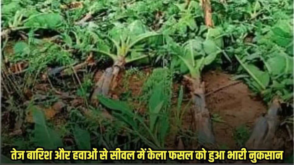 Burhanpur news, MP news,