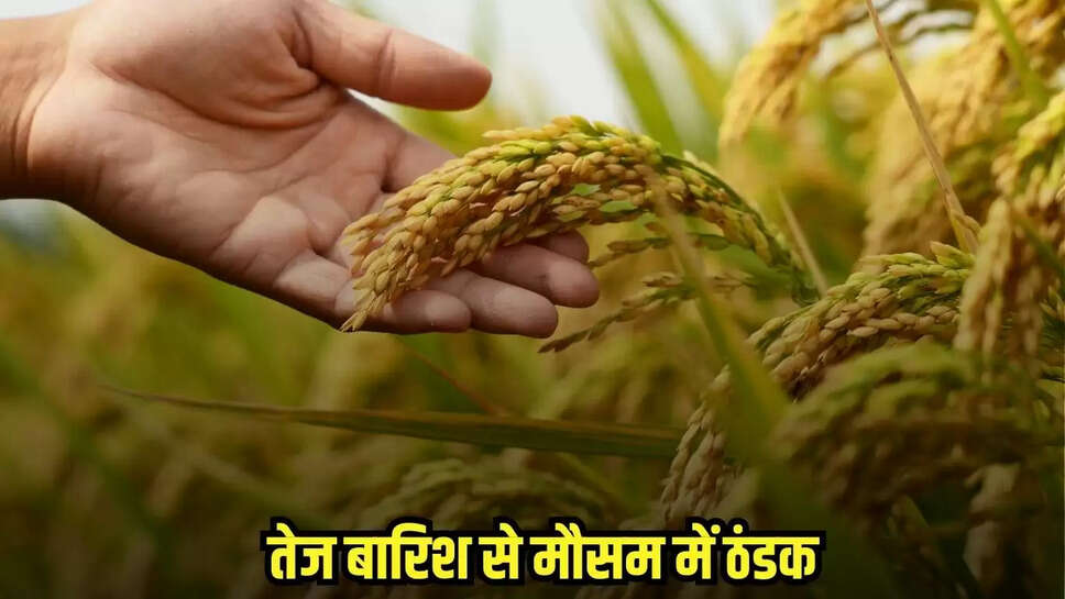 Dhaar News