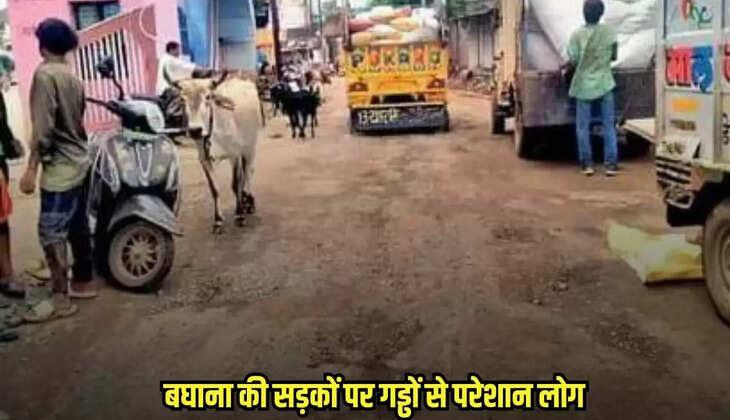Neemuch news, MP news,