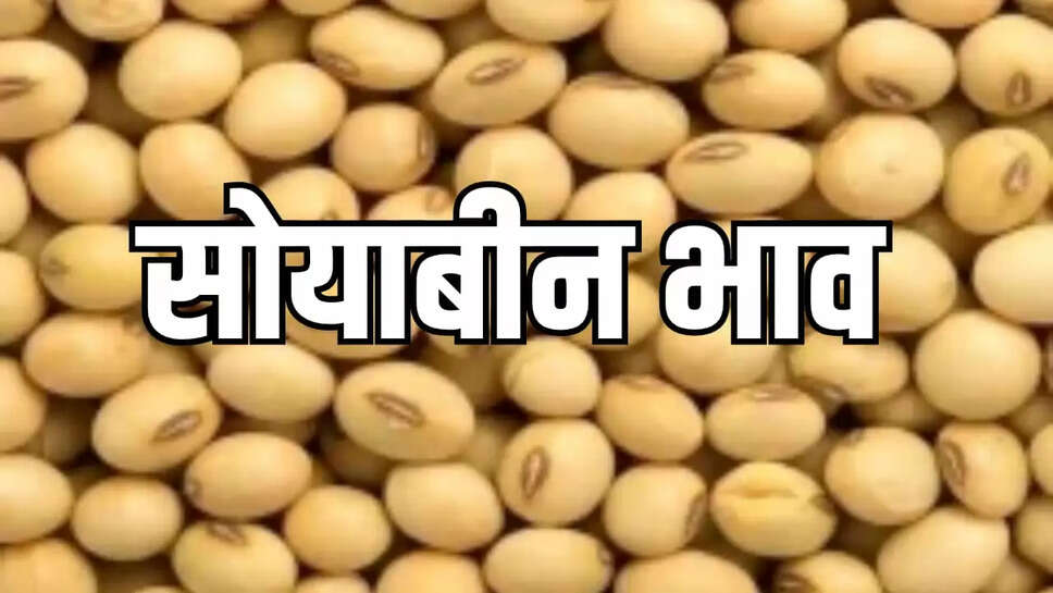 soybean prices