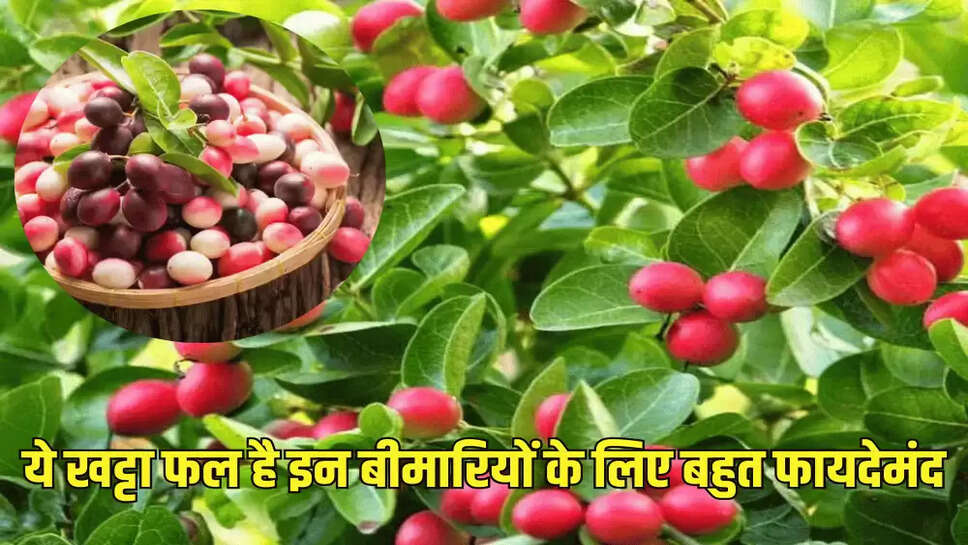 ये खट्टा फल है इन बीमारियों के लिए बहुत फायदेमंद