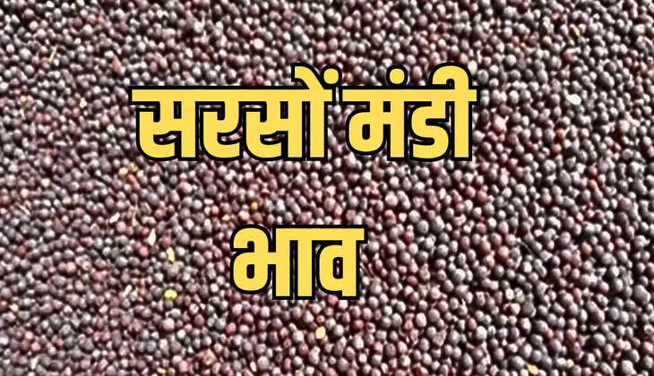 सरसों 