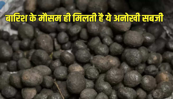 बारिश के मौसम ही मिलती है ये अनोखी सब्जी