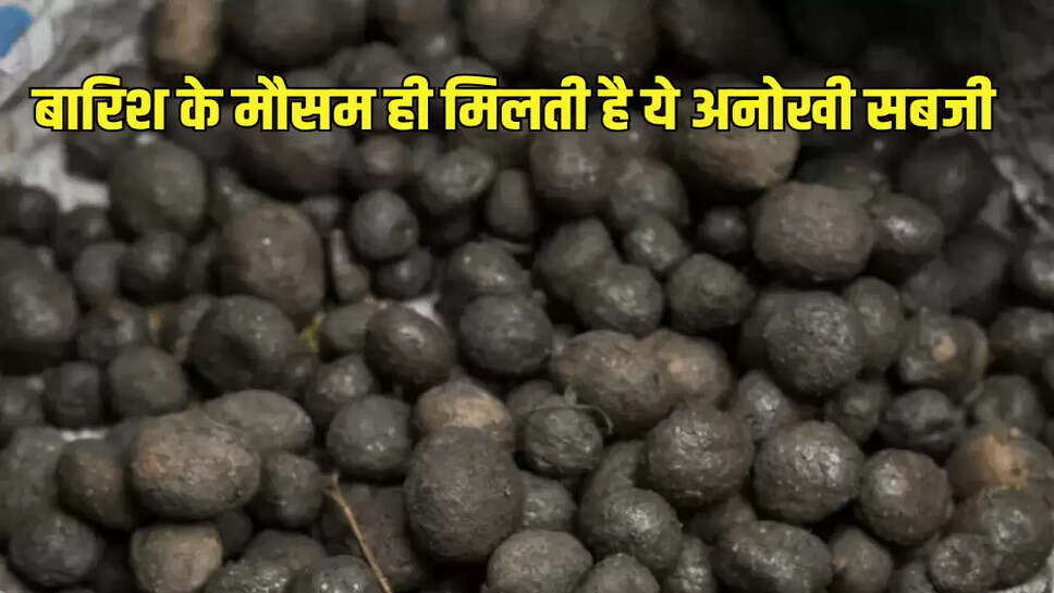 बारिश के मौसम ही मिलती है ये अनोखी सब्जी