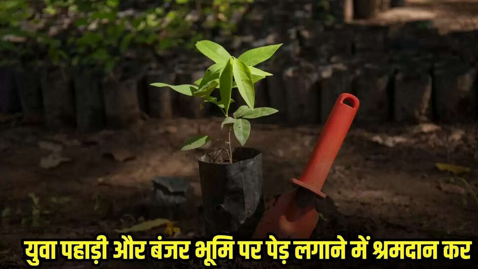 Tikamgarh News