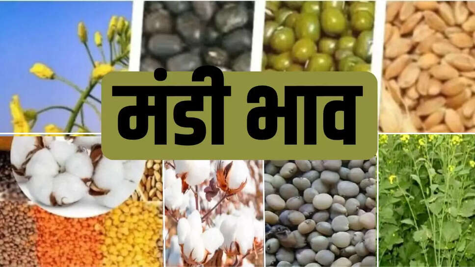 गेहूं ,जौ, सरसों, ग्वार , बाजरा ,नरमा, सोयाबीन, चावल, आलू, प्याज ,लहसुन
