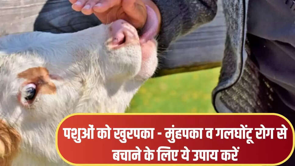 खुरपका - मुंहपका व गलघोंटू रोग