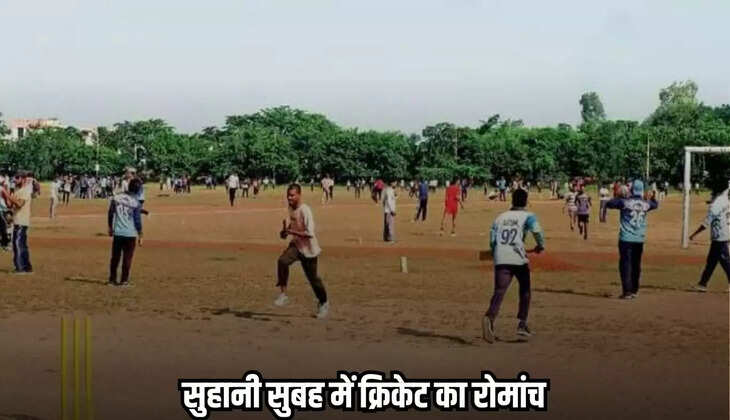 Neemuch news, MP news,