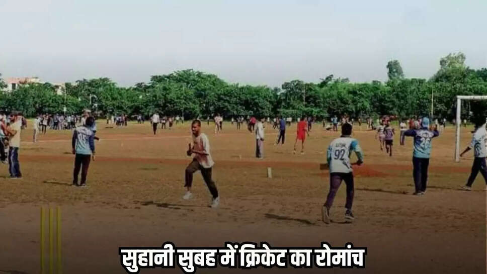 Neemuch news, MP news,