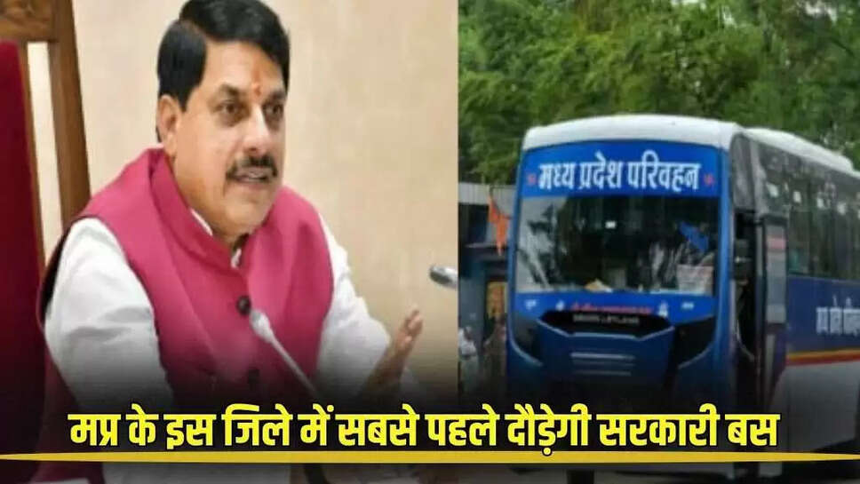 Mp news