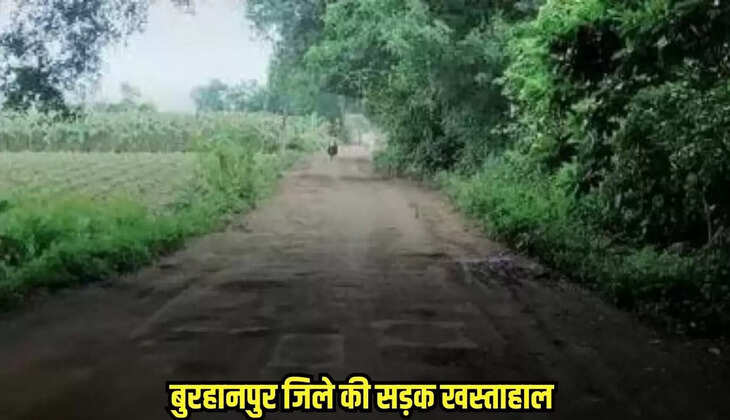 Burhanpur news, MP news,