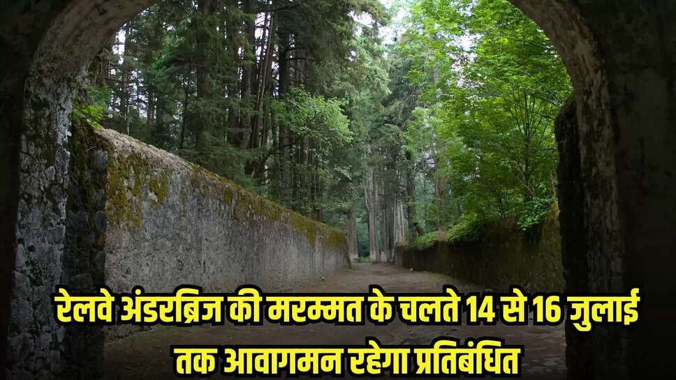 Tikamgarh News