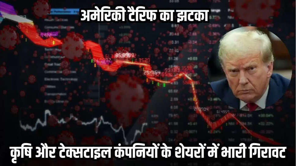 Stock Market