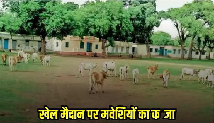 Neemuch news, MP news,