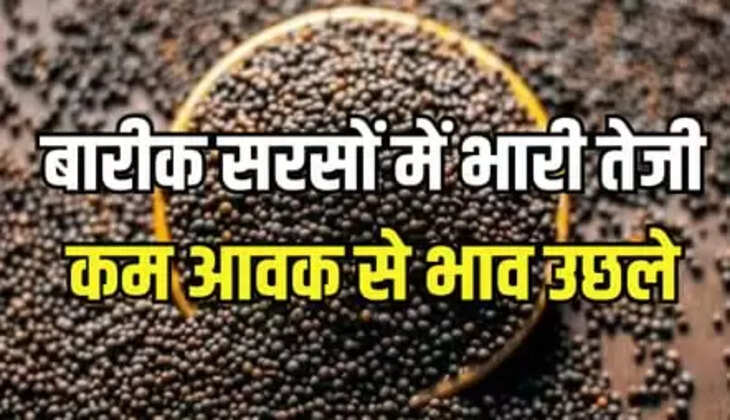 Mustard Rate Hike Update