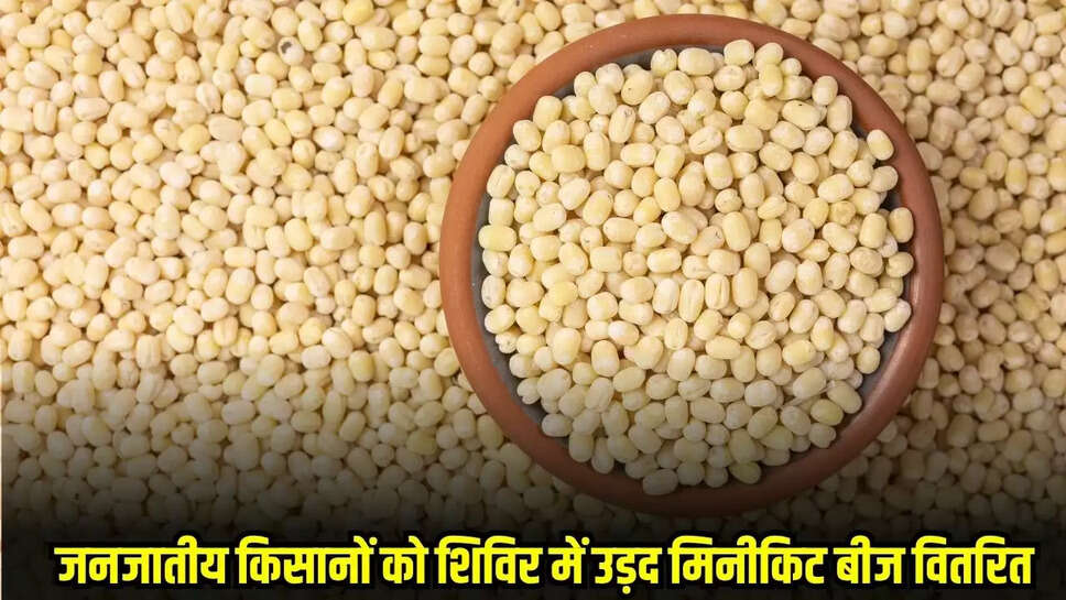 Chhatarpur News