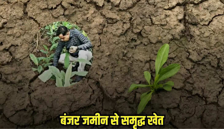 Damoh news, MP news,
