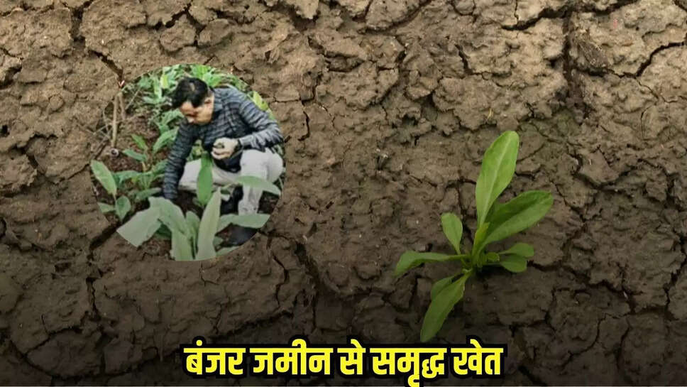 Damoh news, MP news,
